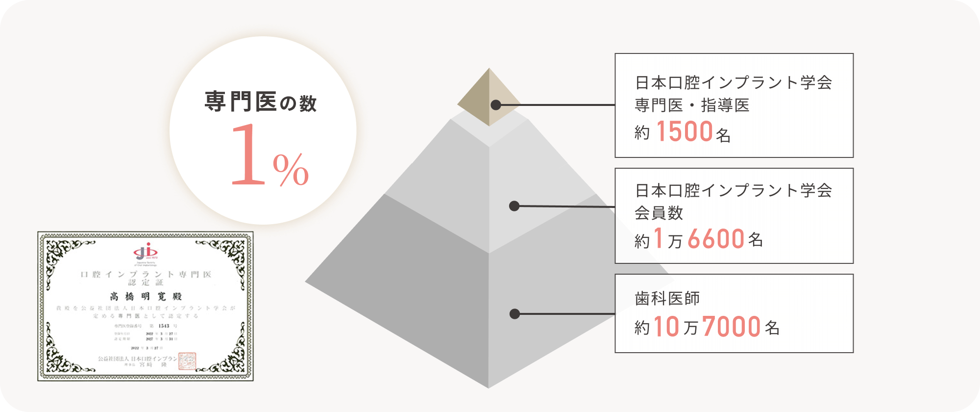 専門医の数1%　日本口腔インプラント学会専門医・指導医約1500名　日本口腔インプラント学会会員数約1万6600名　歯科医師約10万7000名