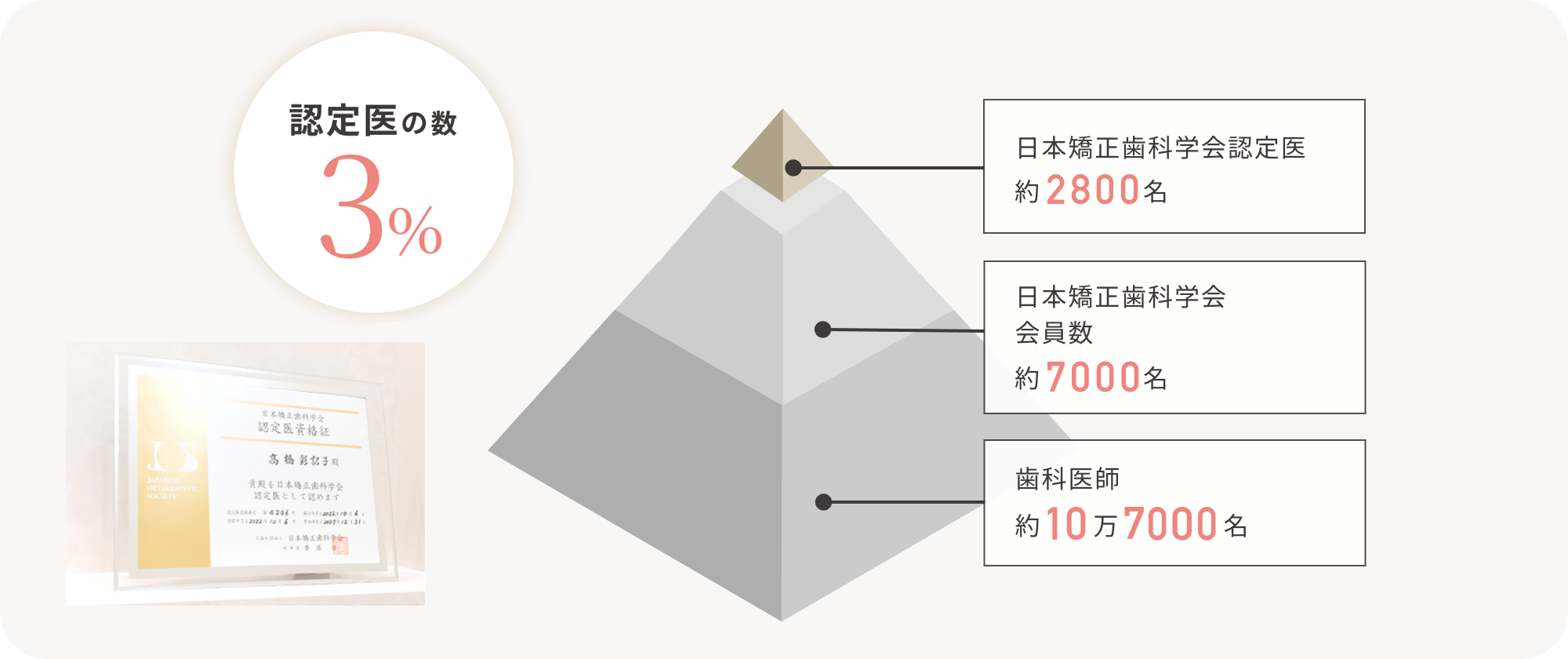 認定医の数3%　日本矯正歯科学会認定医約2800名　日本矯正歯科学会会員数約7000名　歯科医師約10万7000名