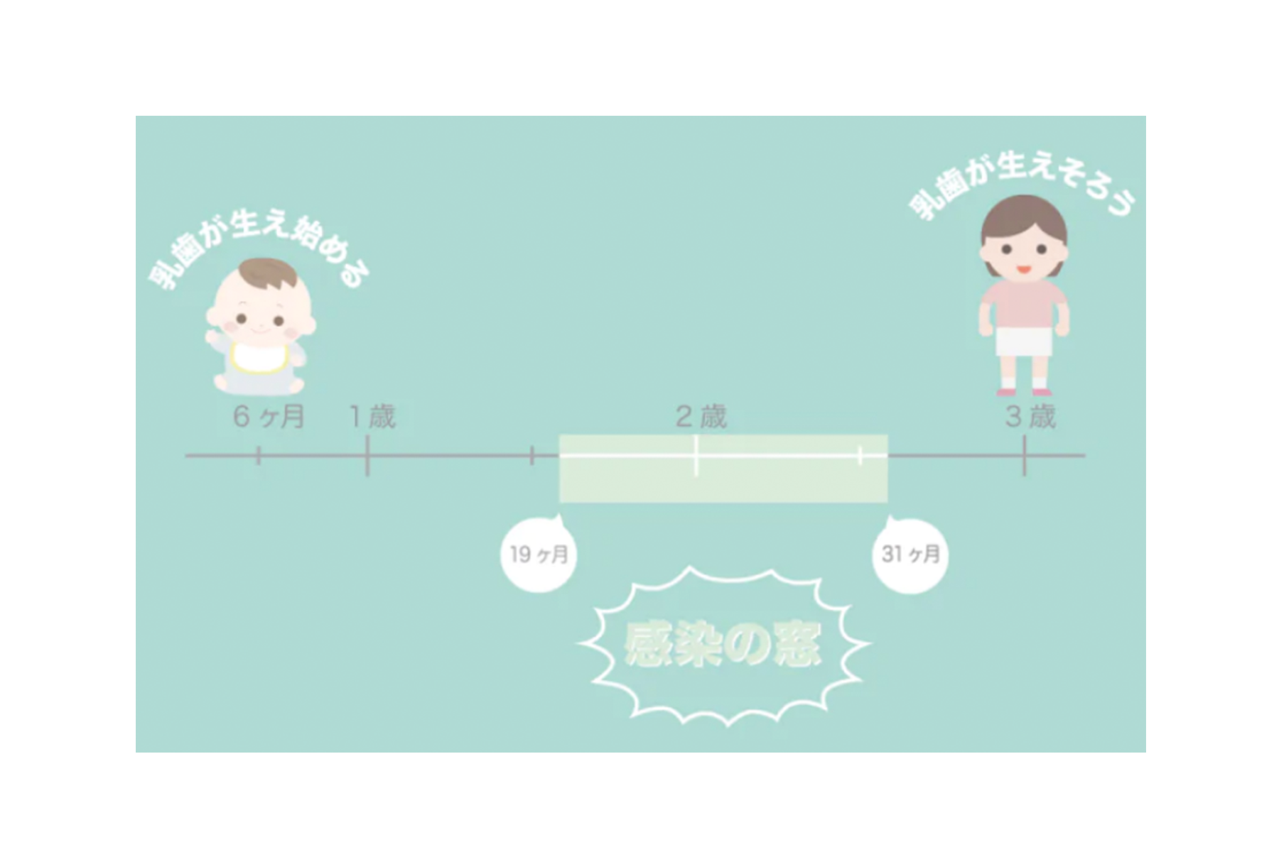 「感染の窓」について